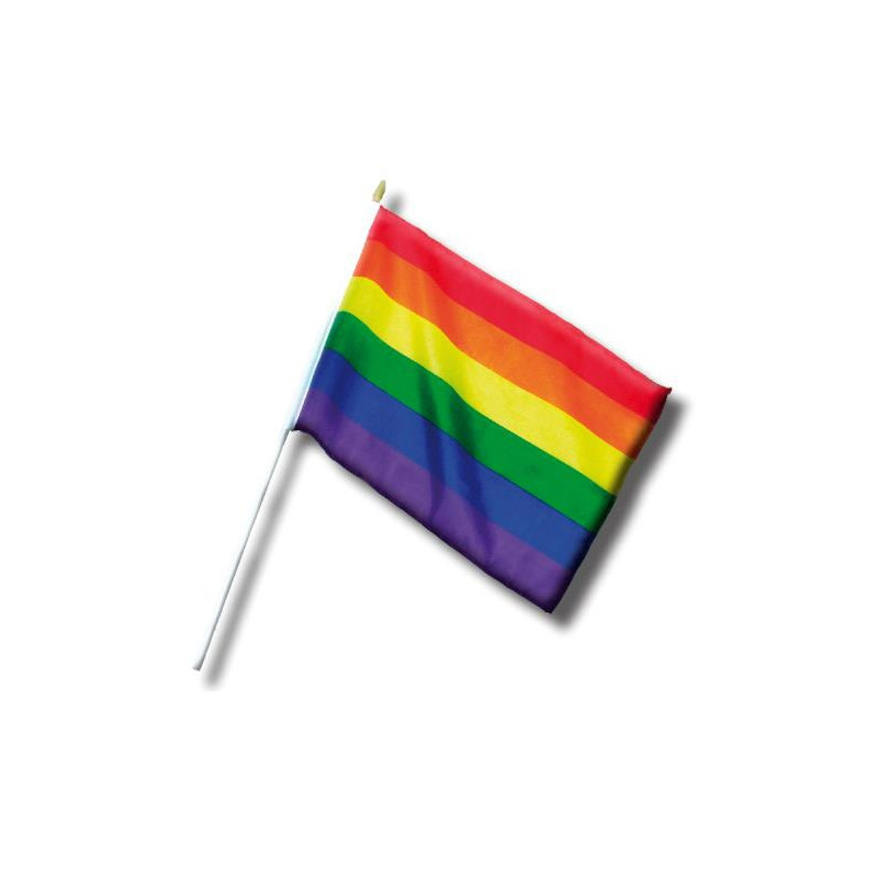 Pride Items Mini Drapeau Rainbow 20 x 30cm